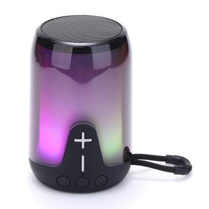 T&G New Design Portable Tg652 Smart Wireless Speaker Bt Waterproof Outdoor Speakers Big Battery Capacity 1200mAh (BLUE)