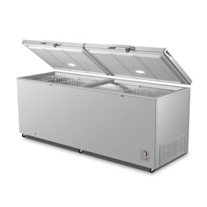 Hisense 702L Double Door Fast Freeze Chest Freezer