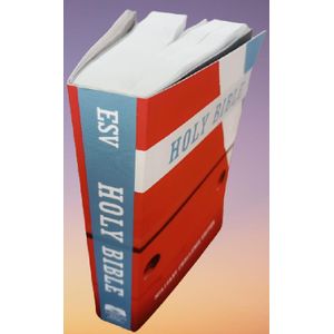 English Standard Version ESV With A 75- Day Devotional,Songs,Hymns,Prayers, Chronology Of The Bible