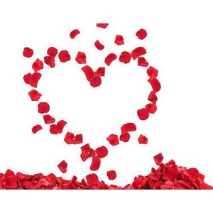 Decorative Red Petals 200pieces - Romantic