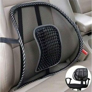 Car + Chair Support/Lumbar Support