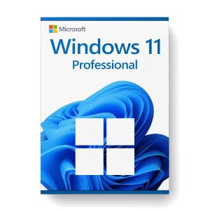 Microsoft Windows 11 Pro 