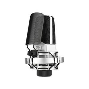 Takstar Takstar-SM-18 EL Professional Recording Microphone Cardioid