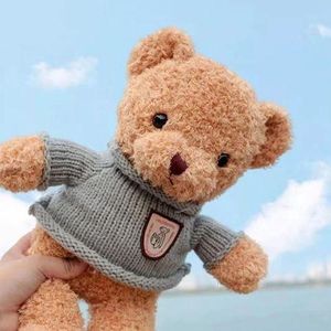 ONIBENZ DRESS UP TEDDY BEAR PLUSH TOY - 30CM Soft Stuffed Bear with Sweater
