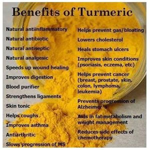 Herb Earth Tumeric Powder 100g 