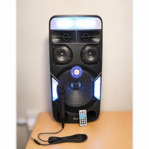 AILIPU Dual 10 inches multimedia rechargeable Bluetooth speaker with 1 wire microphone and remote control