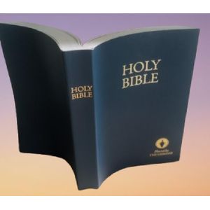 Holy Bible English Standard Version (ESV)-Perfect for Outreach-Easy To Read Bible  & Affordable ESV Bible