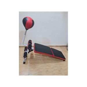 Sit Up Bench With Speed Ball And Dumbbell Latest Model