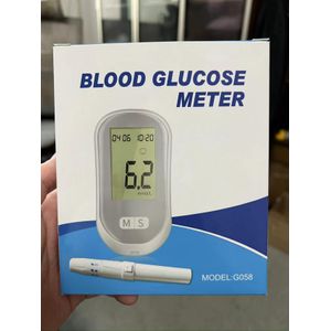 Digital Healthcare Thermometer Home Use Blood Glucose Meter with Test Strips in Plastic Case