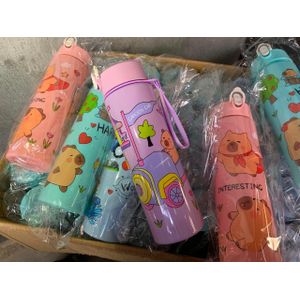 Kids DESNEY plastic character water flask -sofia the first- pink color 