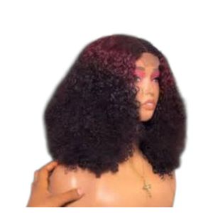 3tone super soft budget pixie curly hair wig with 2 by 4 Tclosure 14 inches ( hair blend)
