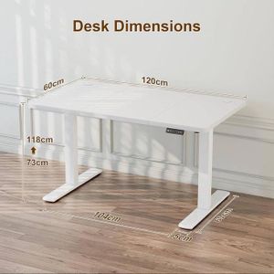 Modern Adjustable Height Electric Standing Desk(1.2mtr) 