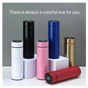 Pet Water Bottle 500ml Water Bottle Temperature Display Stainless Steel Flask