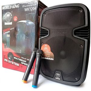 12" Public address system 