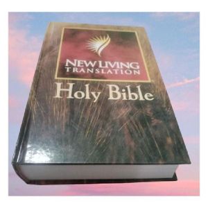 NLT New Living Translation Holy Bible Giant Print (Hardcover)