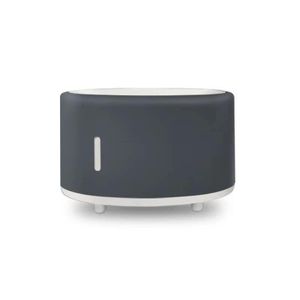 Aroma Humidifier Bluetooth Speaker