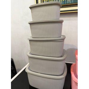 .5in1 Food Storage Container