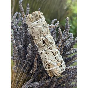 Nature Field Sage smudge bundle