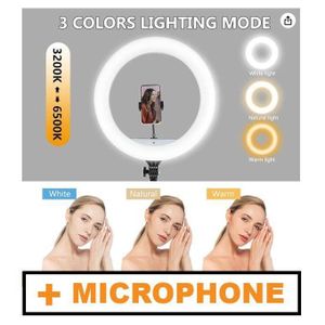 Electronic Lighter  Ring Light with Stand + Microphone - 10 Inch Makeup Light