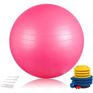 Sport Fitness Yoga Gym Ball Pregnancy Exercise with Pump