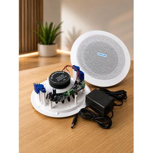20W Ceiling Speaker