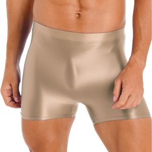 Men S Ultra-thin Briefs Shiny Satin Low Waist Panties Glossy Silky