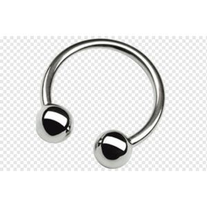 Nose/Ear Pierce Ring