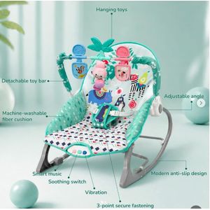 Infant To Toddler Baby Rocker