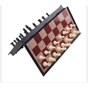 Brains Magnetic Chess Board small