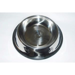 Dog Stainless Large Bowl