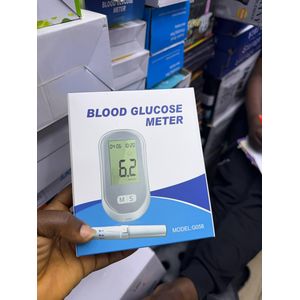 Blood glucose meter 