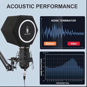 Professional Microphone Pop Filter with Windscreen, Studio Reflection Shield for Noise Reduction and Sound Isolation – Ideal for Recording, Singing, Podcasts, and Live Streaming - Alctron PF8