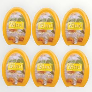 Wind Air Freshener Gel Wild Forest 150g - X6