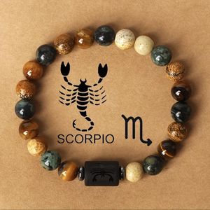Twelve Zodiac Unisex Bracelet Jewelry - Scorpio