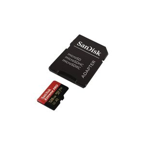 Carte mémoire micro SD Sandisk Extreme - Carte mémoire flash - 256 Go - A2  / Video Class V30 / UHS-I U3 / Class10 - microSDXC UHS-I