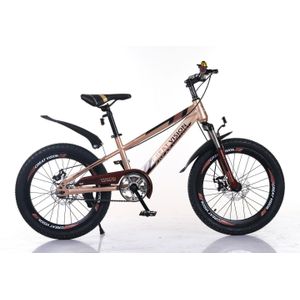 20inchs bicycle for age 12 to 17 years