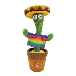 Dancing Cactus Online | Best Price in 