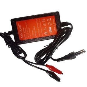 12V 2A Battery Charger