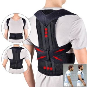 back safety belt