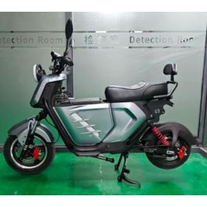 Electric E- Bike M2 - 1000W Electric Bike - Rechargeable, No Petrol, No Noise - Long Distance - For Adults, Students, Delivery