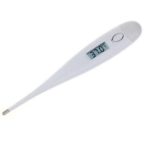 Digital Human Body Thermometer