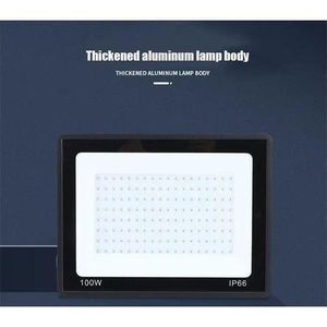 Light 100W Outdoor Waterproof SMD