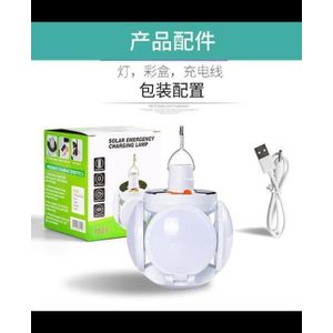 Genetic Solar rechargeable light 