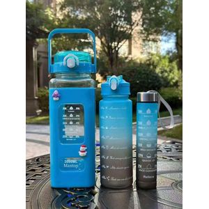 3 in1 water bottle  