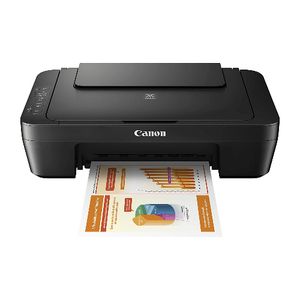 Printer PIXMA MG2551S All-in-One Colour Printer - USB Only