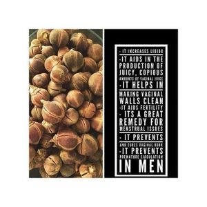 Davyo'splace 25 pieces Gorontula seed fruit pod