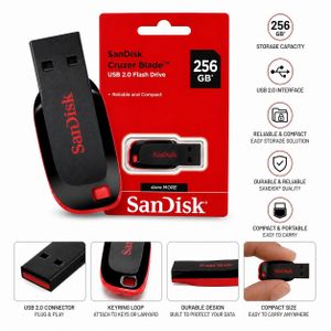 SanDisk Cruzer Blade 256GB USB 2.0 Flash Drive - High Capacity Portable Pen Drive