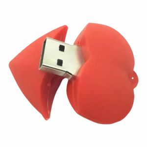 Cute Heart Shaped USB Flash Drive, 2.0 High Speed Pen Drive, Portable Red Love Heart Memory Stick for Gift/Storage