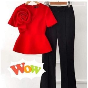Stunning Exclusive Classy Ladies Office 2pcs Top & Trouser