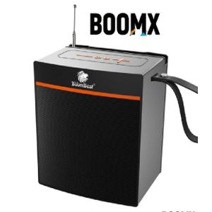 BoomBest 1036BT BoomX Wireless Bluetooth Speaker, 50W Dual Drivers, Deep Bass, USB/FM/AUX/TF, Portable Party Sound System